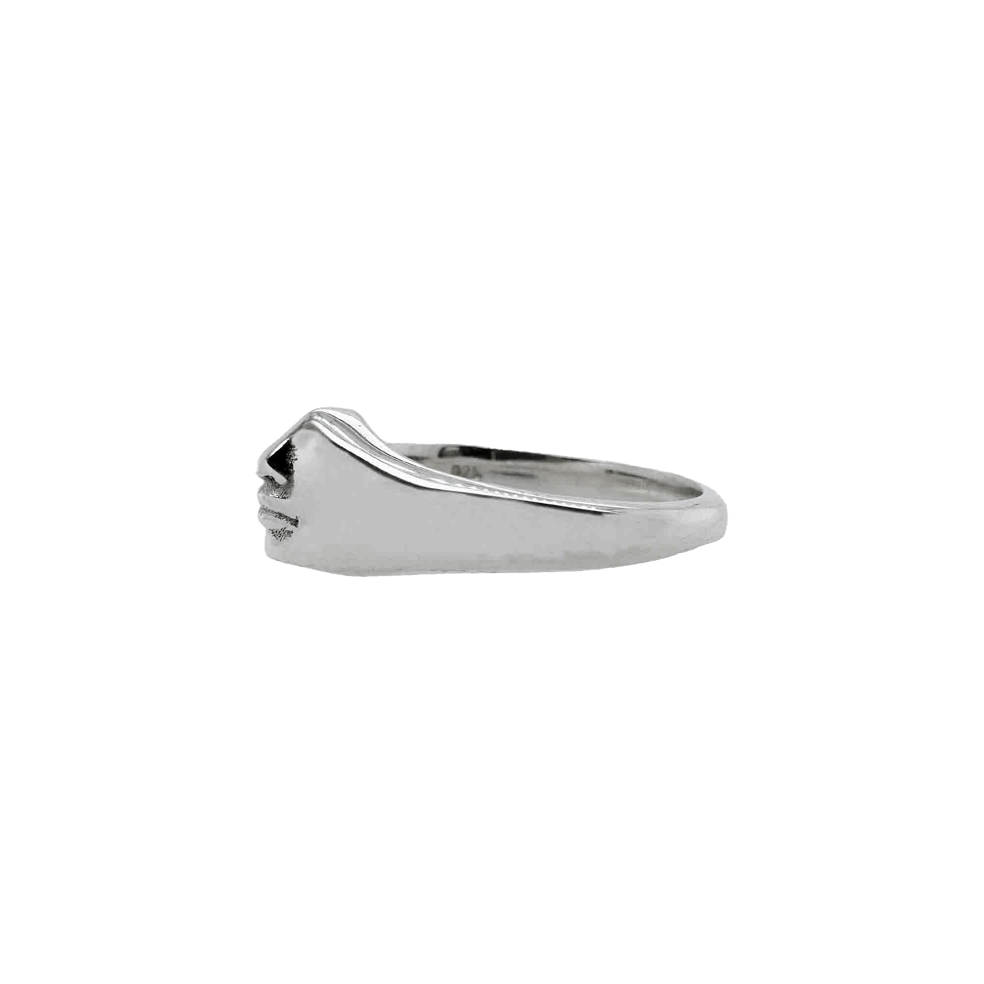 Nose And Lippy Ring