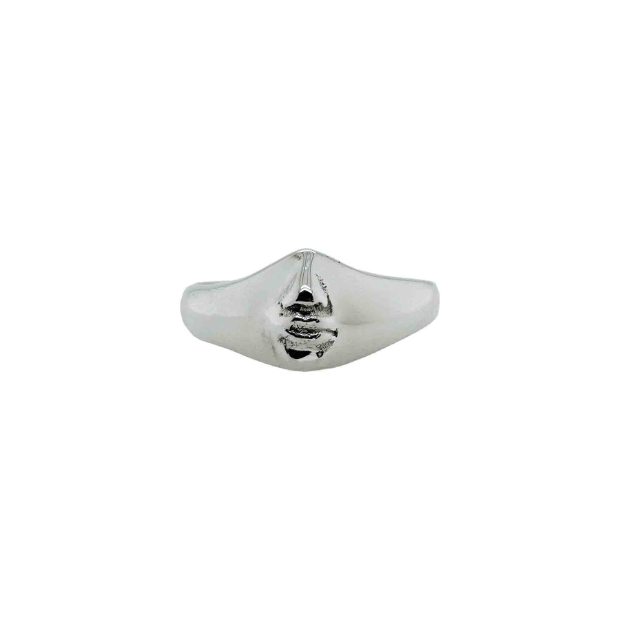 Nose And Lippy Ring